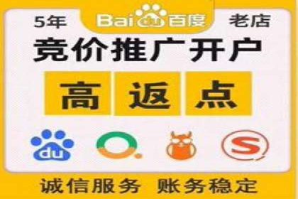 行业领先！专业SEM托管的成功实践案例
